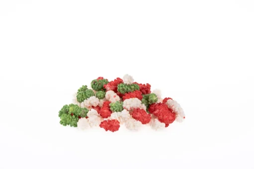 Cannellini - immagine 2